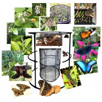 FREEDOM CAGE Multipurpose cage for larger breeding projects
